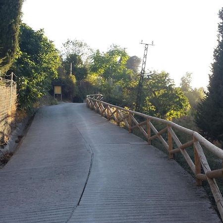 Alojamiento Rural La Casilla Cazorla Exterior photo
